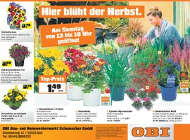 Herbstschau