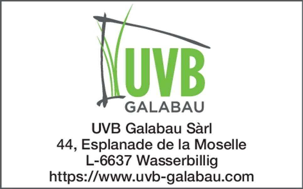 25 Jahre Baumatra, Fließem 