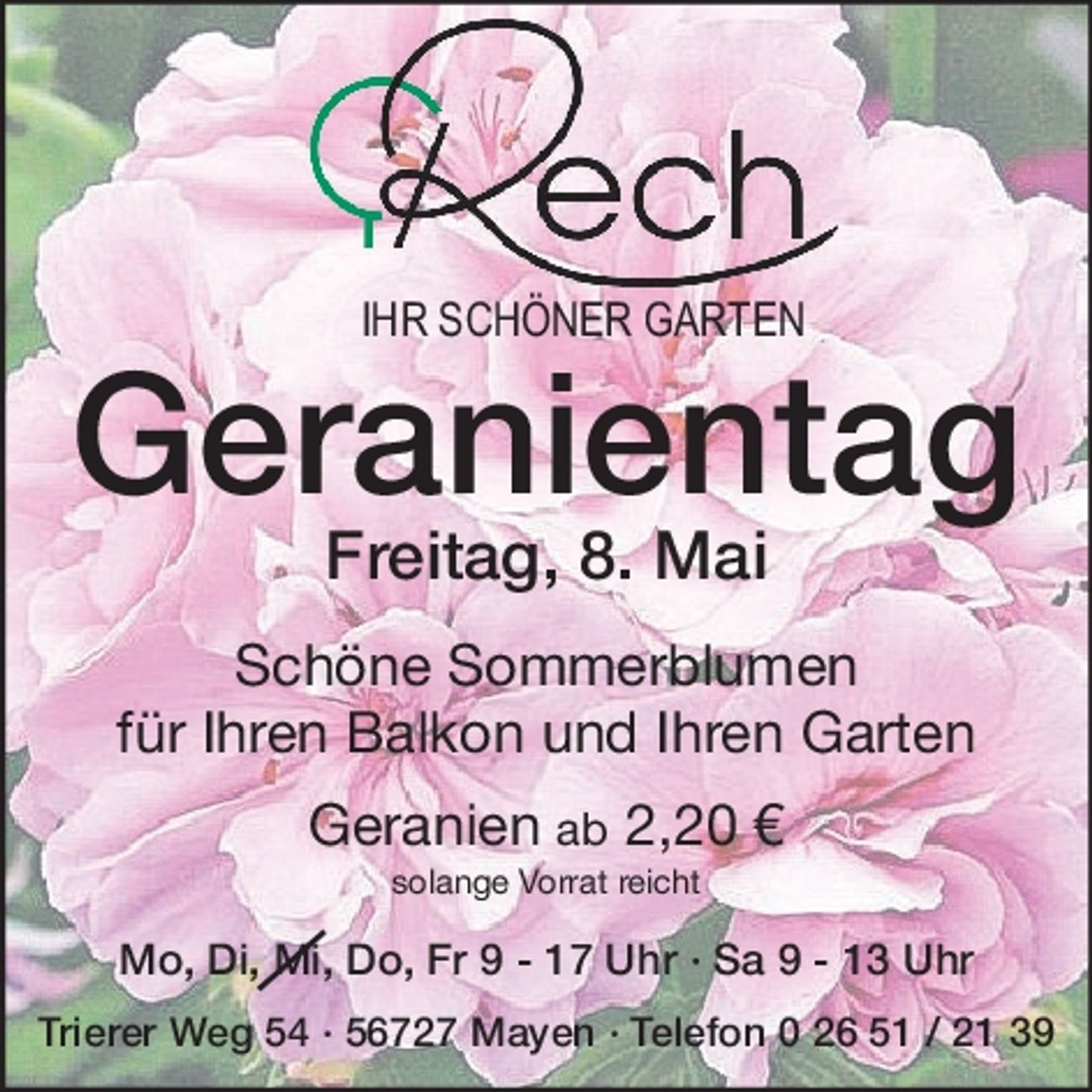 Geranientag...