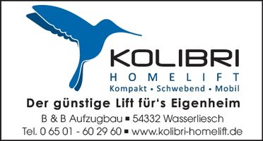 Aufzugbau