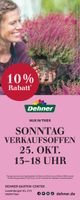 Dehner - Trier 25.10. VOS