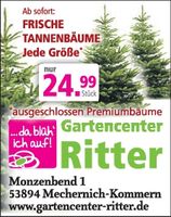 Tannenbaum