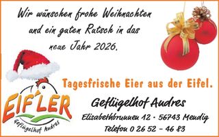 Weihnachtsgruß 2025