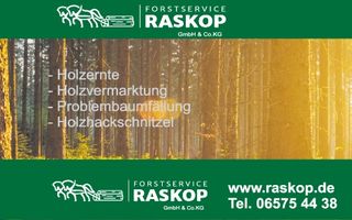 70_Süd_WS_Landscheid, Frühjahrsmarkt 12/