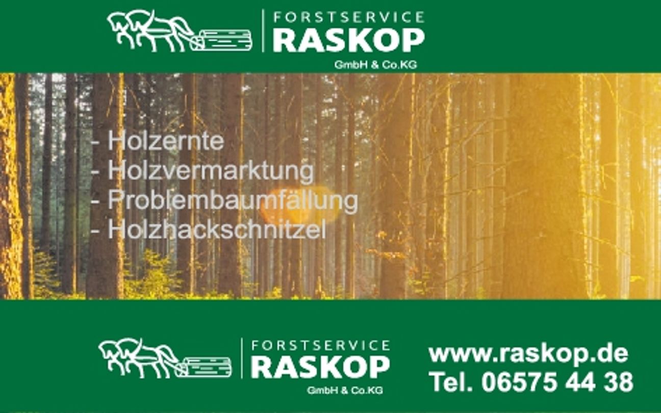 70_Süd_WS_Landscheid, Frühjahrsmarkt 12/