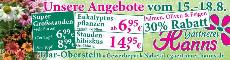 Gärtnerei Hanns 11268006