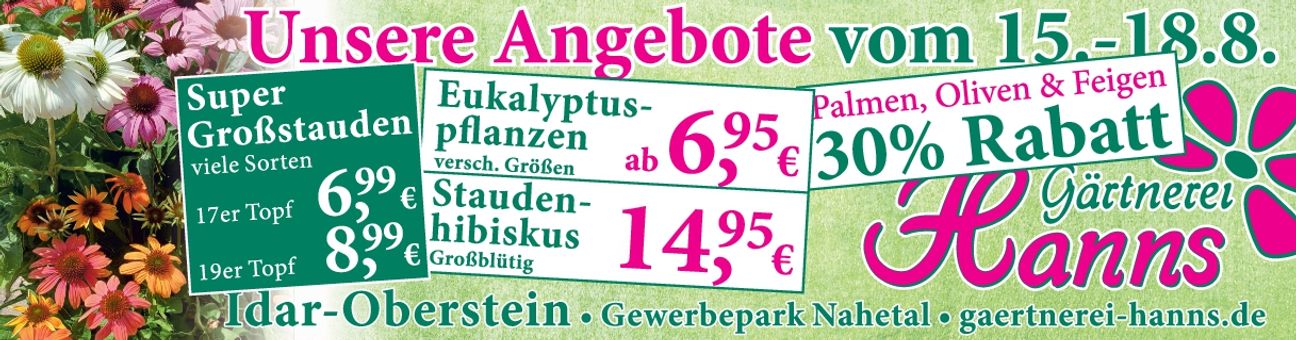 Gärtnerei Hanns 11268006