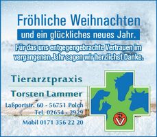 Weihnachtsgruß 2025