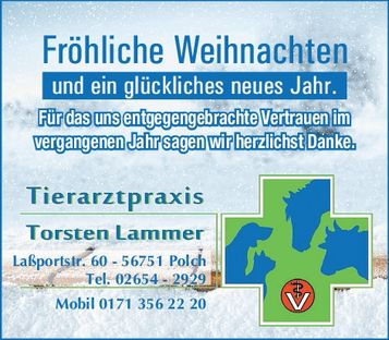 Weihnachtsgruß 2025