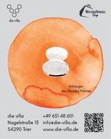 WS-Shop - die villa des Mondes Flimmer_N