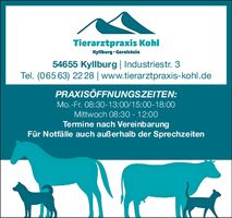 Weihnachtsgrüße Kyllburg 