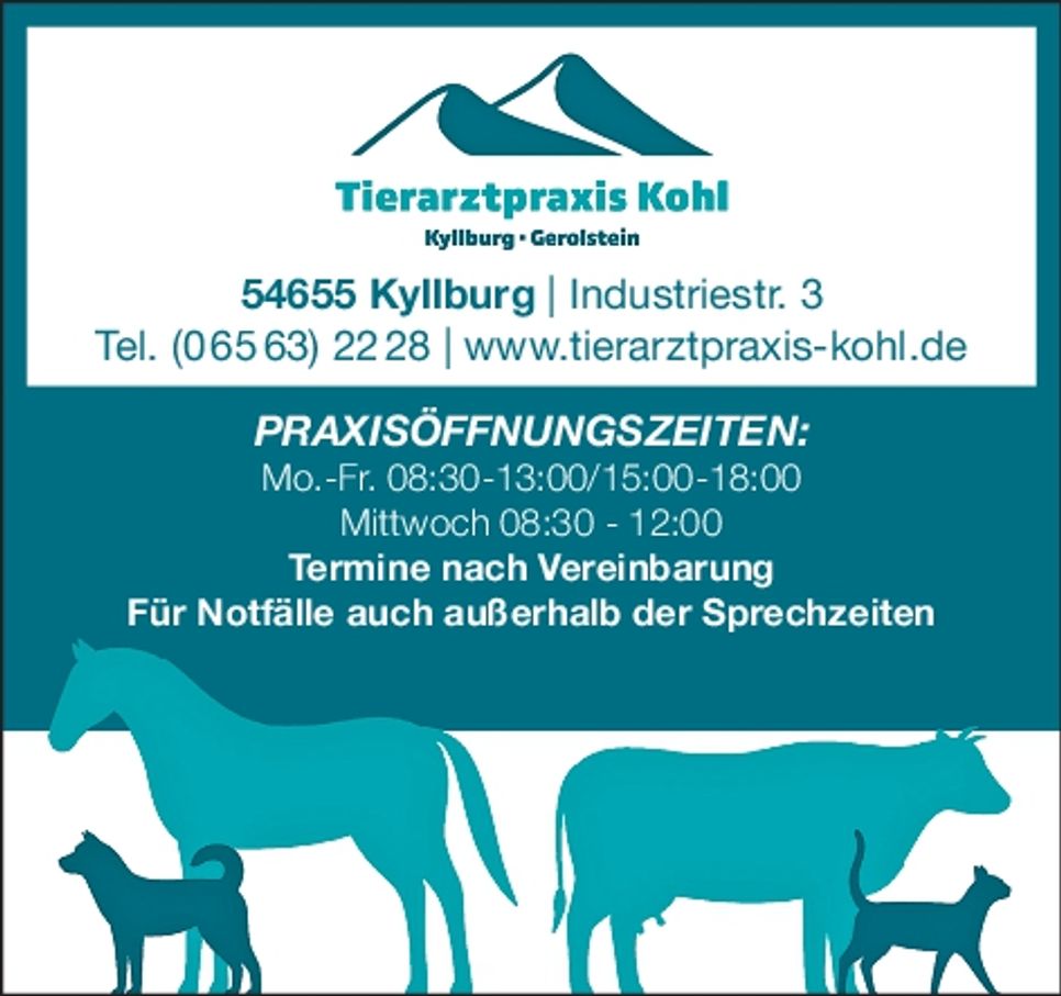 Weihnachtsgrüße Kyllburg 