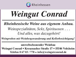 Rheinhessische Weine aus eigenen Anbau