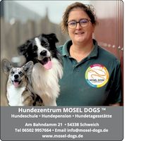 MD Gesichter Weihnachten 