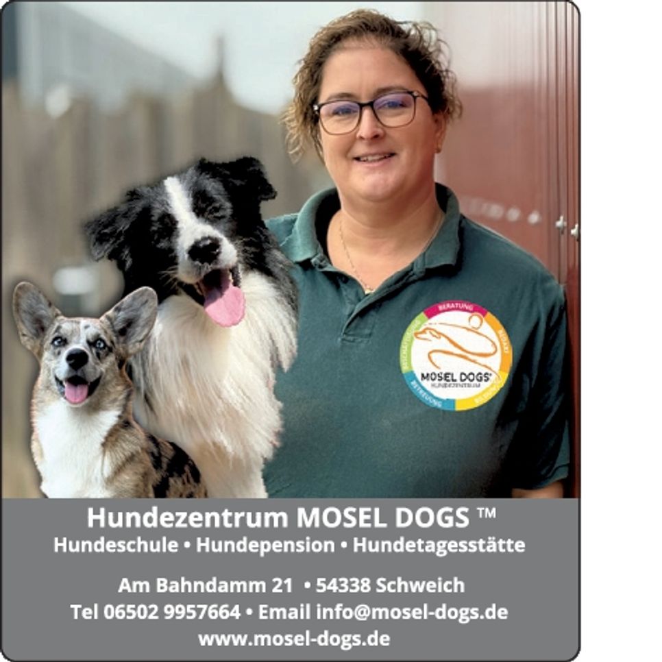 MD Gesichter Weihnachten 