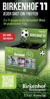 Fußball-WM