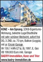 Immo Profis Konz Am Sprung