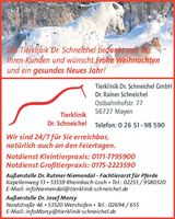 Weihnachtsgruß 2025