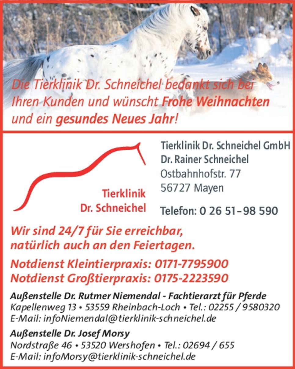 Weihnachtsgruß 2025