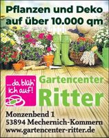 Titelanzeige allgemein