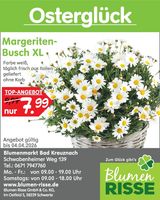 Filiale Bad Kreuznach