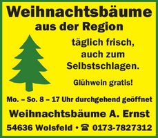 Weihnachtsbäume aus der Region