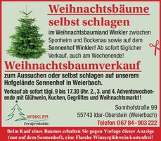 Weihnachtsbäume selbst schlagen