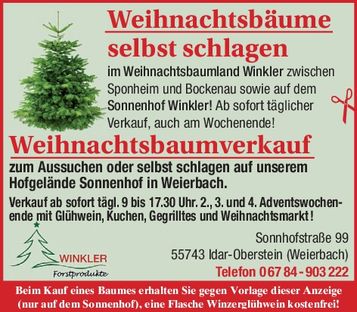 Weihnachtsbäume selbst schlagen