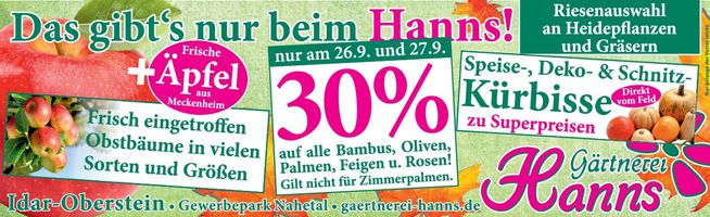 Gärtnerei Hanns 11278227
