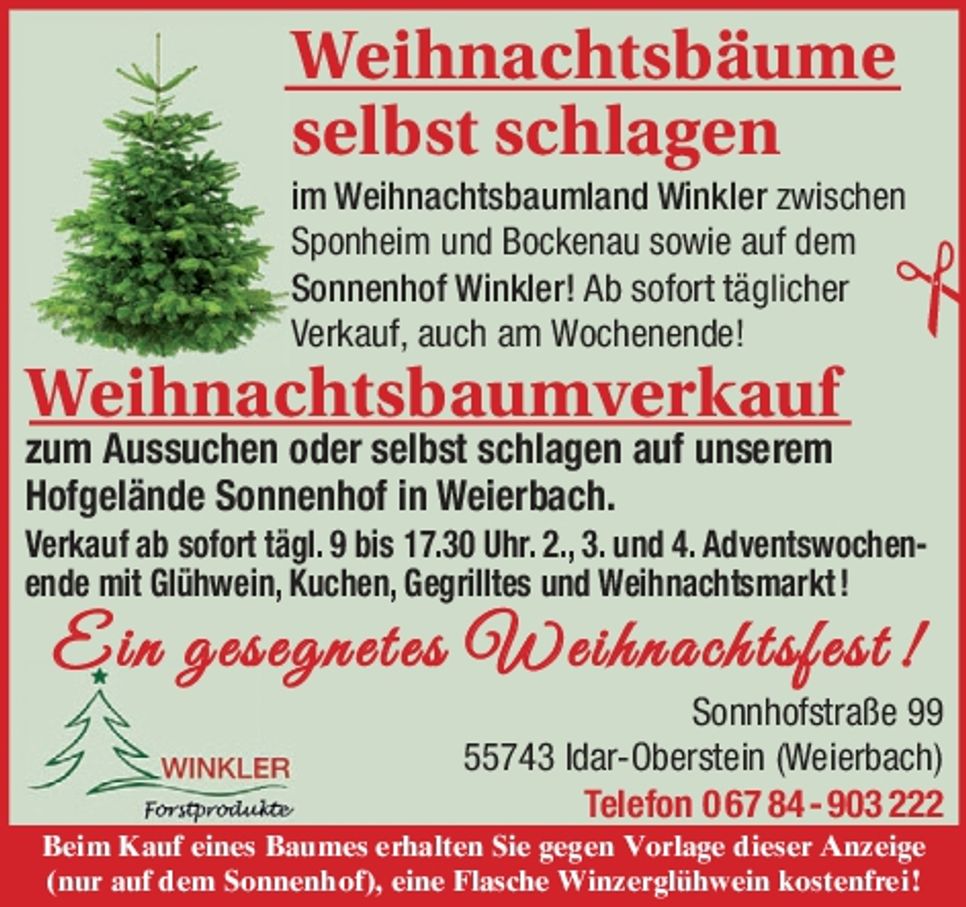 Weihnachtsbäume selbst schlagen