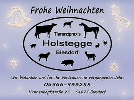 Weihnachtsgruß
