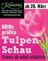 Tulpenschau Vorankündigung