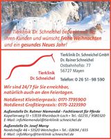 Weihnachtsgruß 2025