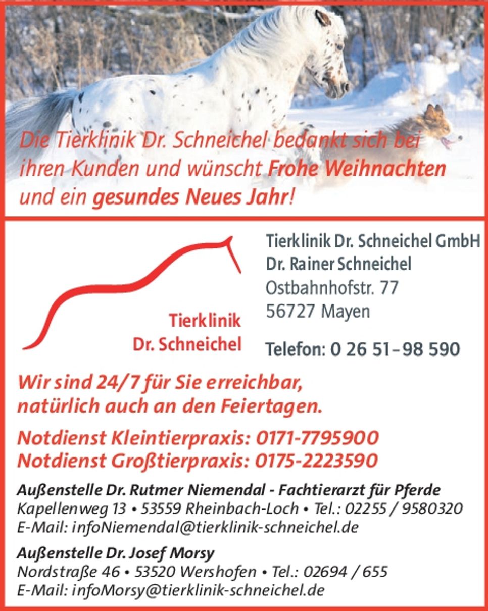 Weihnachtsgruß 2025