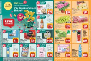 REWE KW 17-2026