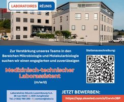 BIT-BKS: Berufe mit Zukunft