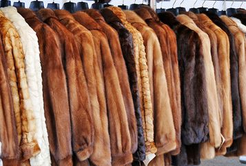 Sofort Bargeld! Seriöser 