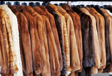 Ankauf: Antiquitäten