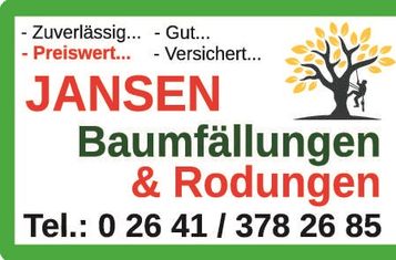 JANSEN Gartenbau: Baumfäl
