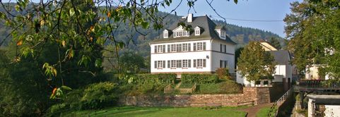 Putzfee / Reinigungskraft