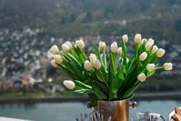 Ein Dinner im schönen Moselland kann vielseitig gestaltet werden. Bild: fotolia.com © Kondor83 (#65988290)