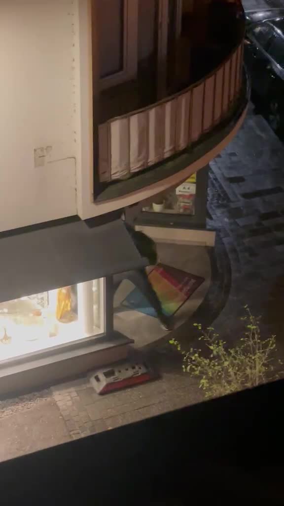 Video Preview