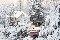So romantisch ein winterliches Grundstück auch wirkt, dahinter verbergen sich viele Probleme, die man angehen muss.
